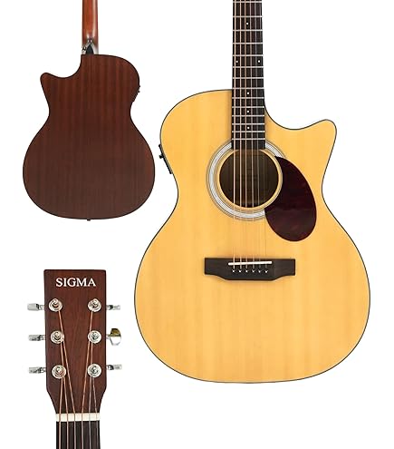 Sigma Guitars エレアコ　ギター　DMC-CTE Amazon.com: Sigma Guitars DMC-STE-WF : Musical Instruments